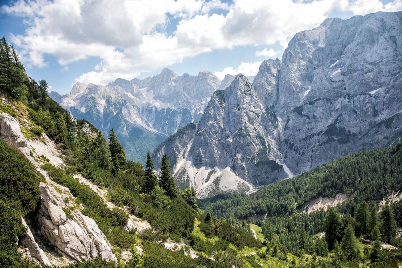 Sunny Retreat Apartment Kranjska Gora Eksteriør bilde