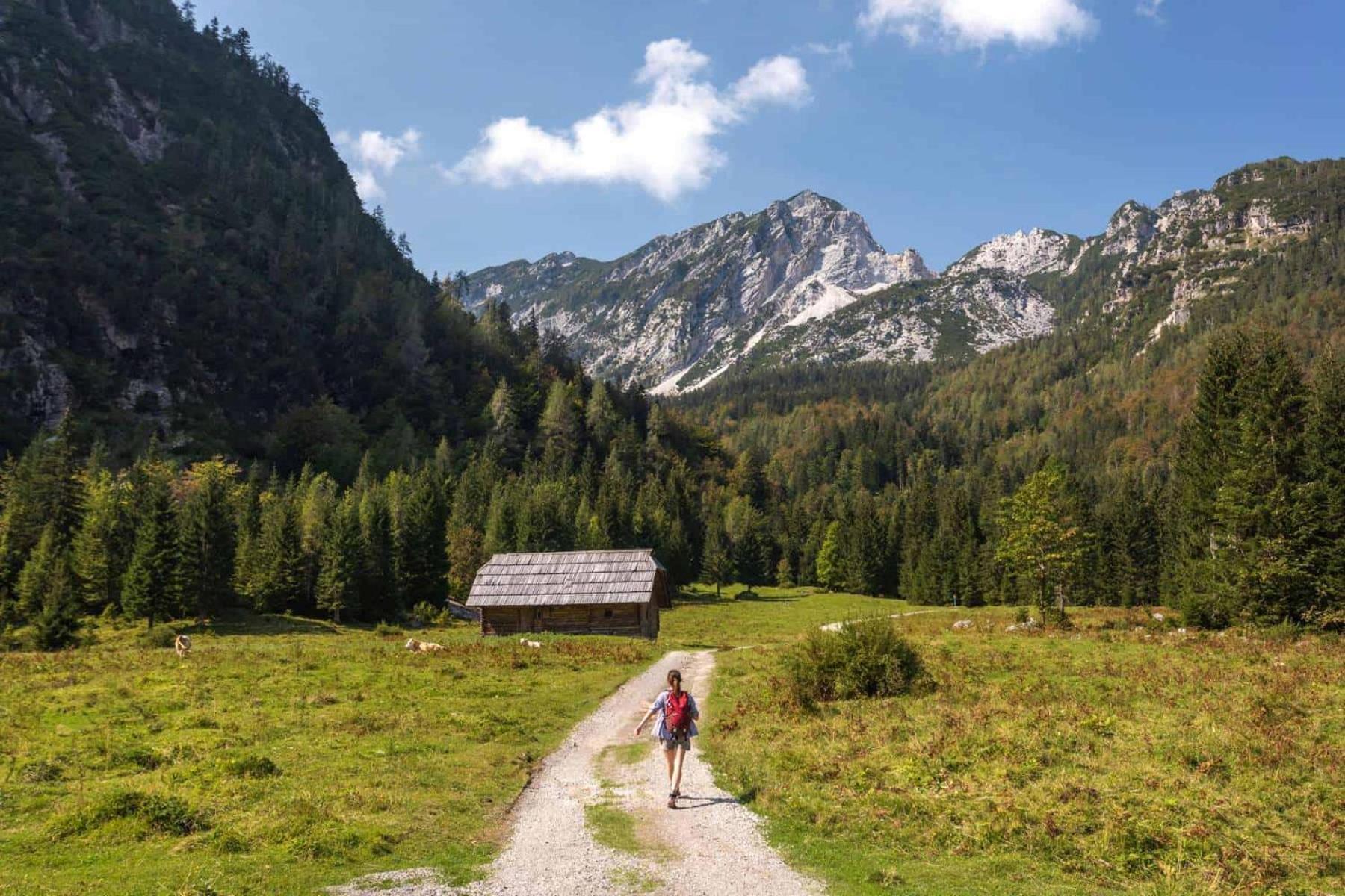 Sunny Retreat Apartment Kranjska Gora Eksteriør bilde